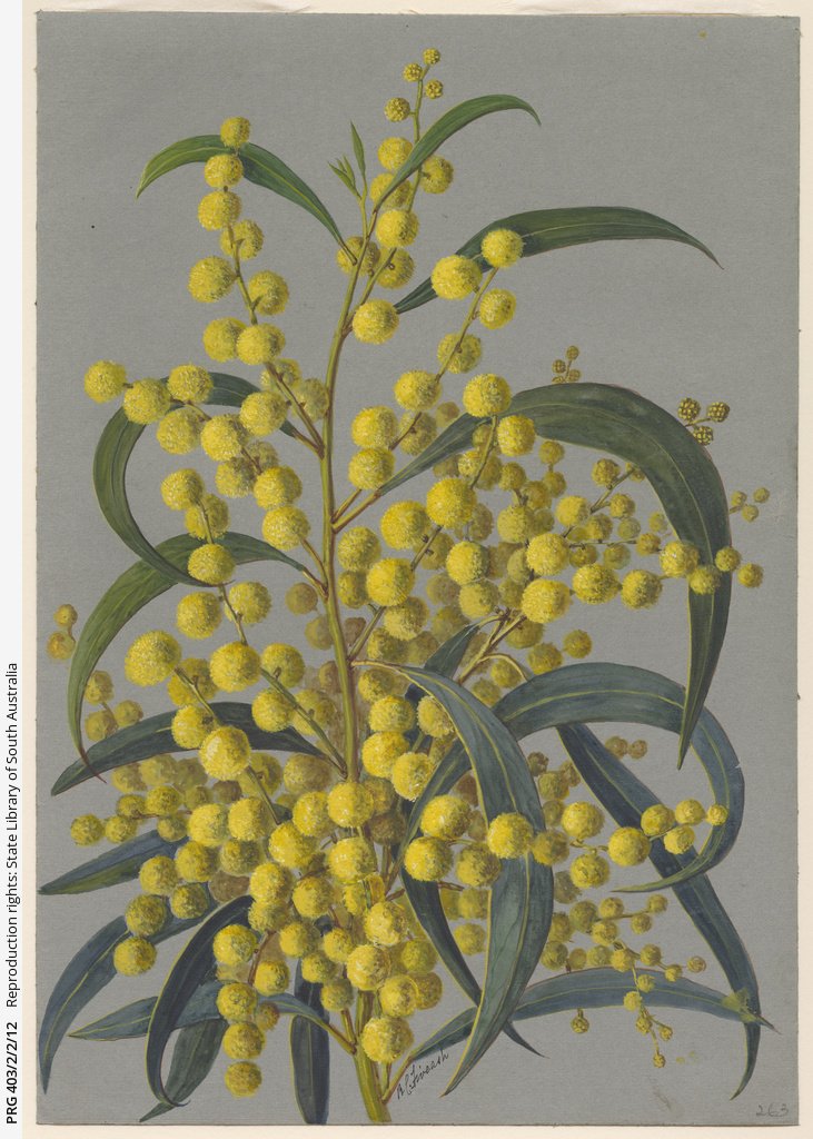 Illustration symbolique pour Elinor Ostrom