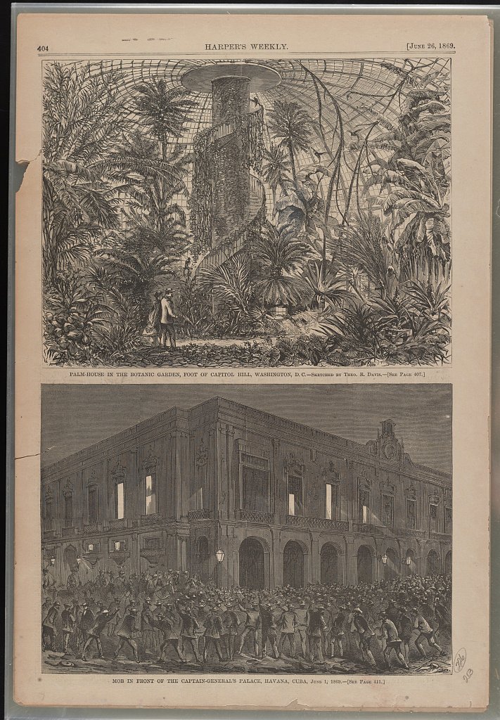 Illustration symbolique pour Donna Haraway